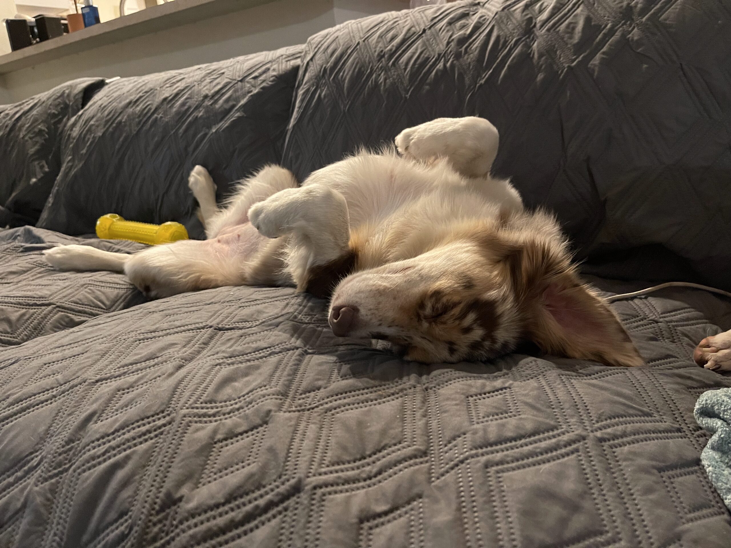 IMG 3918 Original IMG 3918 Original